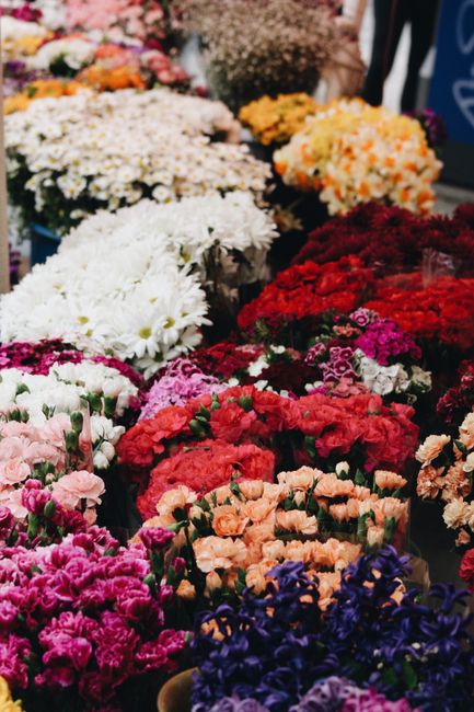 https://flowersbrockley.co.uk/blog/top-brockley-market-florists-and-flower-stalls-to-visit/