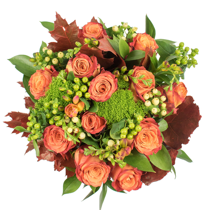 A lush, round autumn bouquet is presented in a top-down view against stark white, each element chosen to evoke the warmth of the season and the tactile pleasure of natural materials. A cluster of large, fully-opened roses dominates the centre-soft peach tones at their cores graduating into coral and deep orange, some outer petals gently edged with a rusty red to suggest leaves turning in early November. Sprays of Hypericum berries thread through the arrangement; their small spheres alternate between bright lime green and creamy pale yellow, creating rhythmic points of contrast among the blooms. The surprising addition of Green Trick dianthus brings an intensely green, moss-like texture that contrasts with the smooth rose petals and adds visual density. Throughout, broad glossy greens form a lush foundation while prominent lobed leaves in dark russet and burgundy are positioned like fallen foliage, anchoring the composition and reinforcing its harvest feel. The light is soft and even, highlighting velvety petals and the glossy sheen of berries without harsh shadows, so the bouquet reads as both rich and approachable. It's a design that feels at home on a wooden table in a Brockley flat, perhaps after a morning at Brockley Market, and suits occasions from Thanksgiving dinners to heartfelt seasonal gifts for friends across Crofton Park and New Cross.