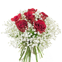 A refined harmony of colour and form stands out in this vivid bouquet, composed of six sumptuous red roses unfurling their velvety spirals amid a cloud of pristine white gypsophila. The image is set against a flawless white background, allowing every detail-the intense crimson hues, the dew-fresh greenery, and the intricate, starry baby's breath-to shine without distraction. This arrangement echoes the thoughtful craftsmanship found in Brockley's well-loved studios or perhaps reminiscent of a cherished find from Brockley Market. Each rose is meticulously placed, their lush petals evoking stories of romance and meaningful milestones in the Brockley community. The baby's breath brings a soft, ethereal quality, giving the composition a gentle buoyancy and a hint of celebration. Light falls evenly over the bouquet, highlighting the vibrant contrast between the passionate reds and jewel-toned greens and the angelic haze of gypsophila. The stems are neatly bound-a testament to both freshness and skill-signalling a bouquet destined to bring joy, whether marking a heartfelt anniversary or expressing spontaneous affection. In Brockley, such a bouquet represents more than flowers: it's a symbol of enduring love, created with local pride and careful artistry, ready to become part of your most treasured moments.